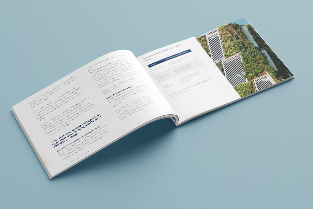 RIO_CollectingPreInvestment_OpenBookMockup_mh_1b